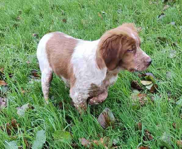 AVEN Des Prés De Jégu