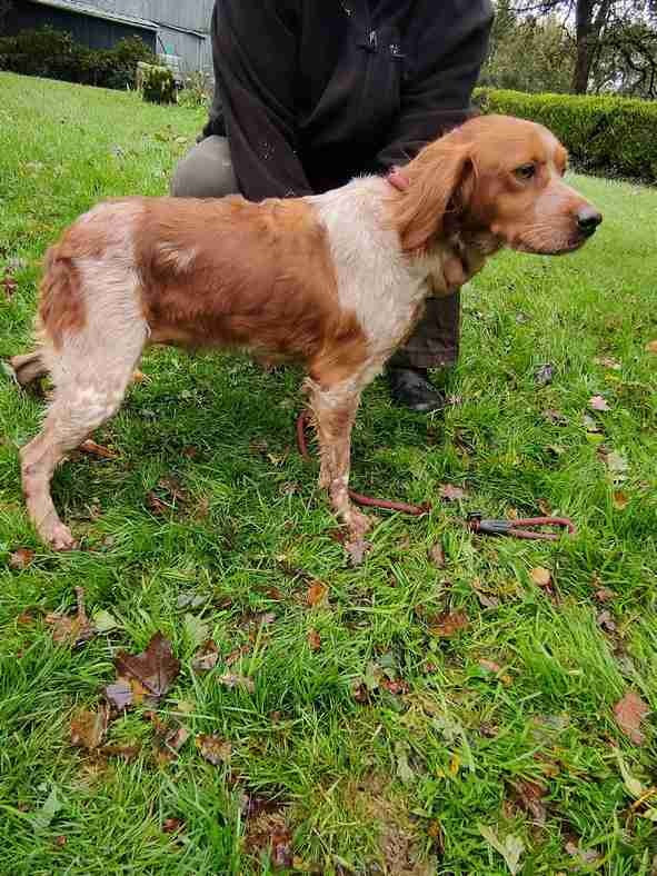 Rita de Coat Cliviou